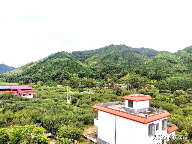 溪山环处的旧影与新绿共长——记柏树下村