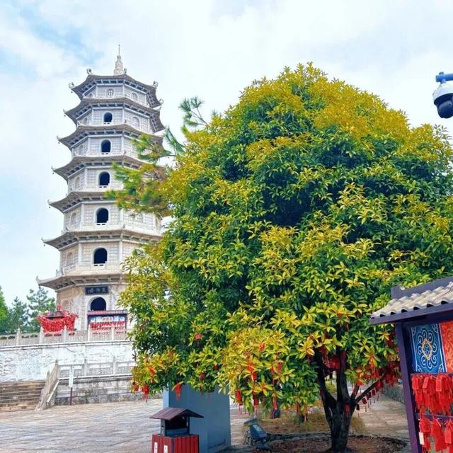 如果你要写太湖的秋天……