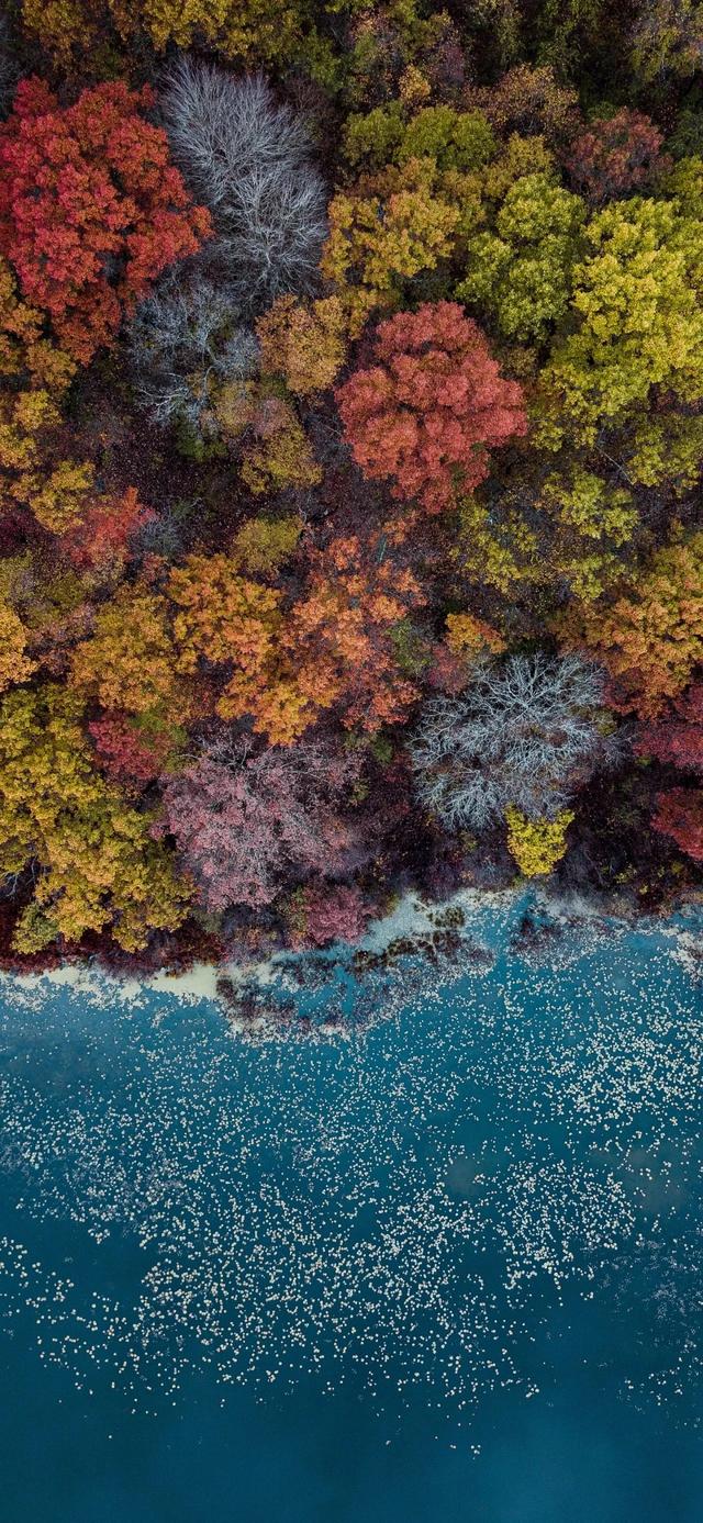 手机壁纸|山水风光美景，绿意盎然