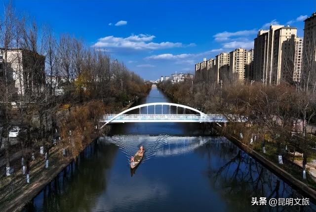 超详细攻略！在昆明官渡，与鸥共舞，六种玩法开启冬日漫游！