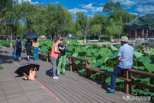 从聂耳、咖啡、野生菌到足球 今夏昆明用文化在全国“出圈”