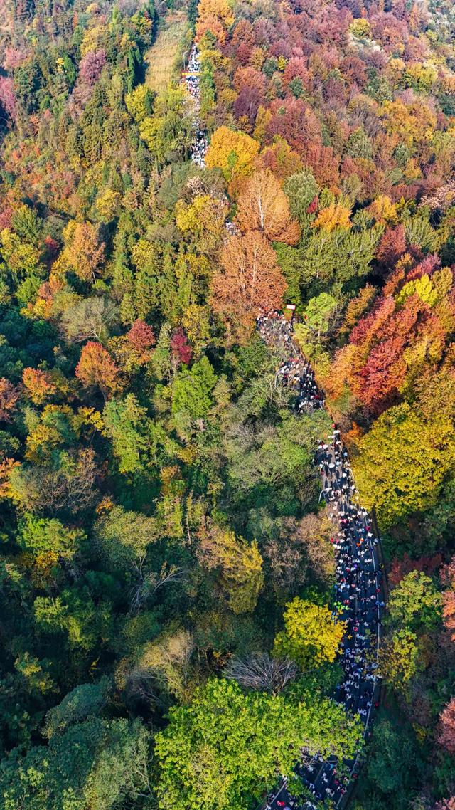 今天,万人齐聚木兰山!