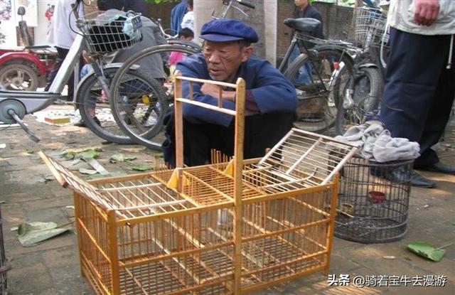 感悟初秋之夜的乐趣