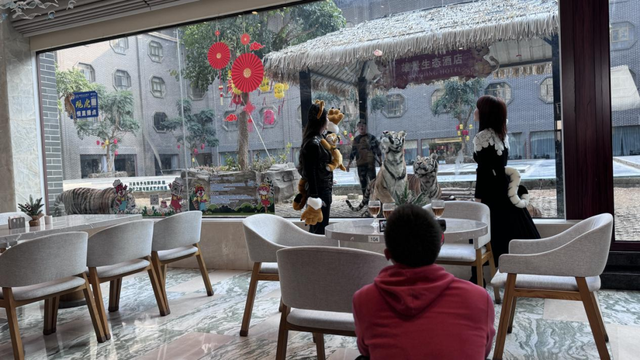 探秘七彩龚州，解锁国庆长假小众打卡之旅！​|《书记县长当导游》平南篇