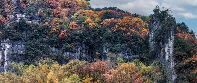 上坝彩林 彩林坝上