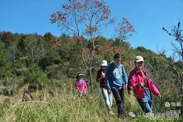 醉美林坑晒秋!这条连接两个避世古村落的省一级古道,周末可走起