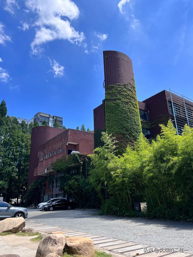 记录2025年上海东方明珠与四平路同济大学感受