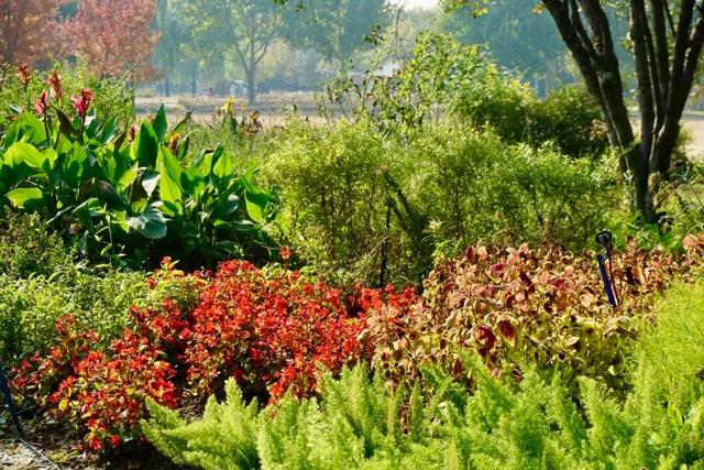 实拍！海淀“莫奈花园”已开启五彩斑斓“童话模式”