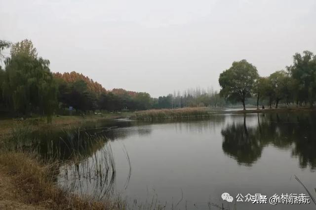 全部免费！渭河南河堤路赏秋攻略大全，那风景简直美爆了！