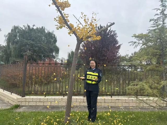 立冬 | 冬临秋未散，邂逅天水高速的鎏金画卷