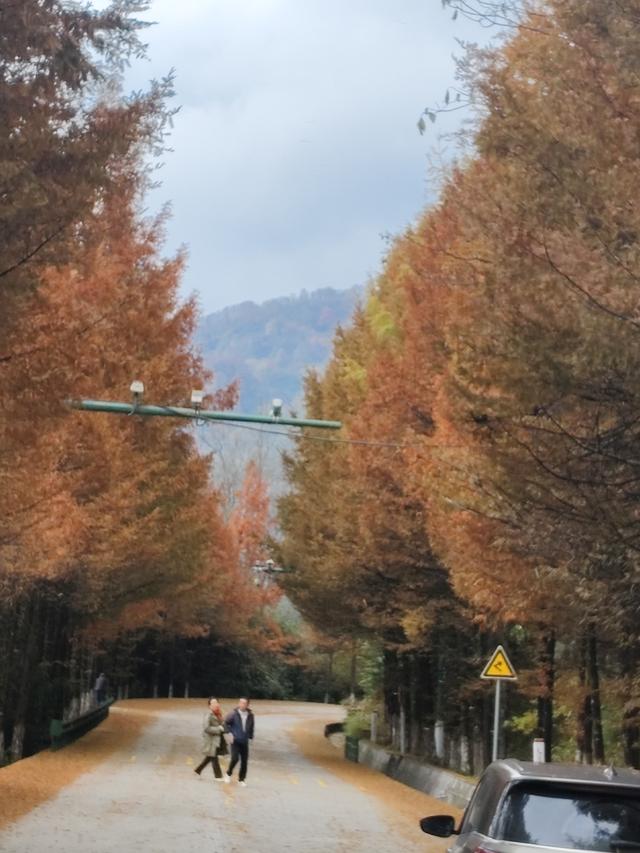 南行漫记：汉中南郑区到巴中恩阳区，9小时233公里的行走路书