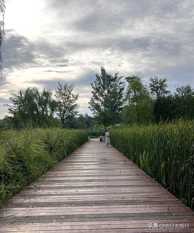 成都最近的原野公园，超级惊艳，一个湖风景就是王者，公交直达！