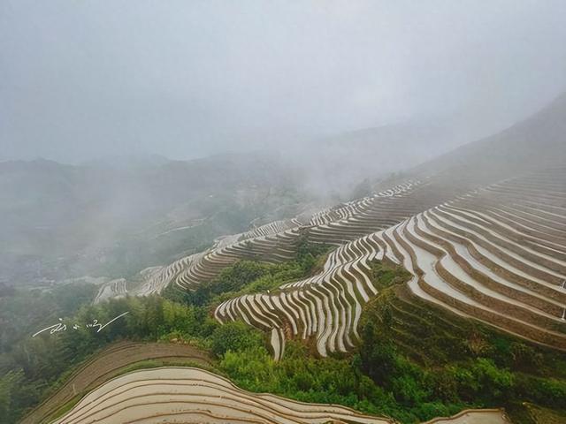 广西有个“奇怪”的旅游景点，原本只是农田，现在却是4A级景区？