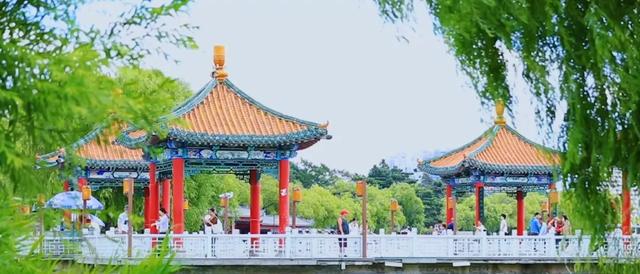 夏日南湖 盛满悠然时光