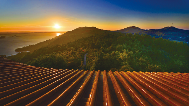 这么静，那么美，周末来洈水必打卡的七件事！