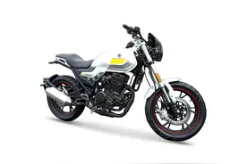 万元以下能买250CC摩托车，有复古巡航有越野车，最大功率13kW图片