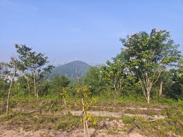 塘朗山郊野公园火车道口与绿平二路段，爬坡酸爽，骑友的天堂