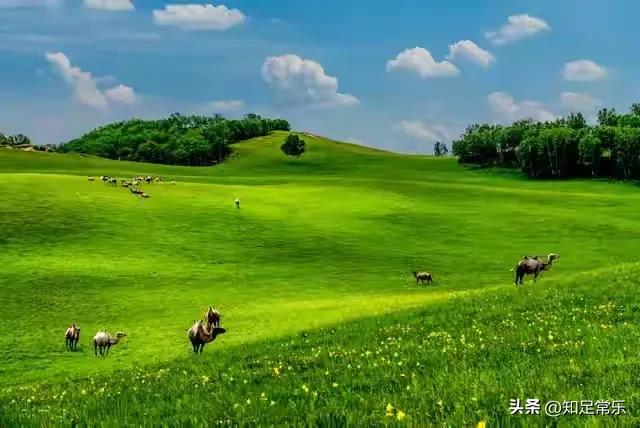 这个一妻多夫制的民族，晚上怎么过？女人直言：没有幸福可言