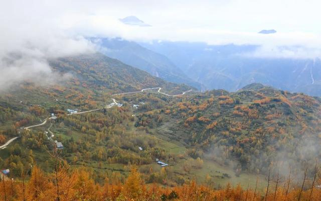 醉 美 空 投 坪