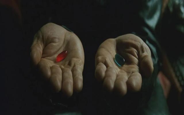 张笑宇：AI终有一天会审判我们，而我们只有两种选择