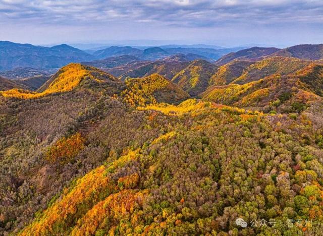 镜瞰秦州·悦秋