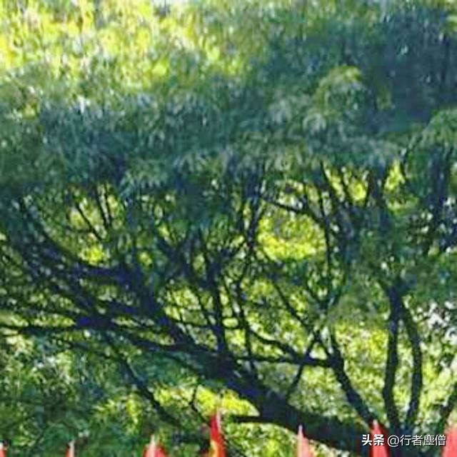 《行者随谈》17.