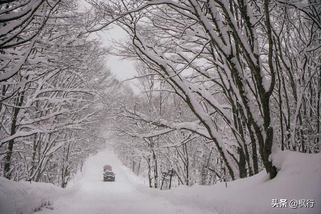 说起冬季日本看雪，难道只有北海道吗？