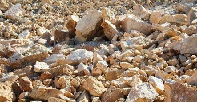 特朗普向全球发通牒！180天内必须对中国“动手”，否则重磅制裁