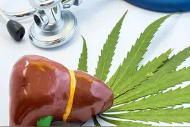 一旦查出胆囊息肉，有必要手术切除吗？若符合这4点，就得需要！图片