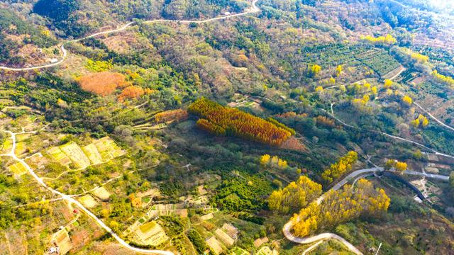 立冬悠游青岛西海岸新区灵山卫街道，乡野美得不像话，像画！