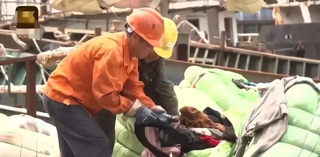 “毒衣服”被曝光，致癌物超标	，会改变DNA！这4种衣服谨慎购买