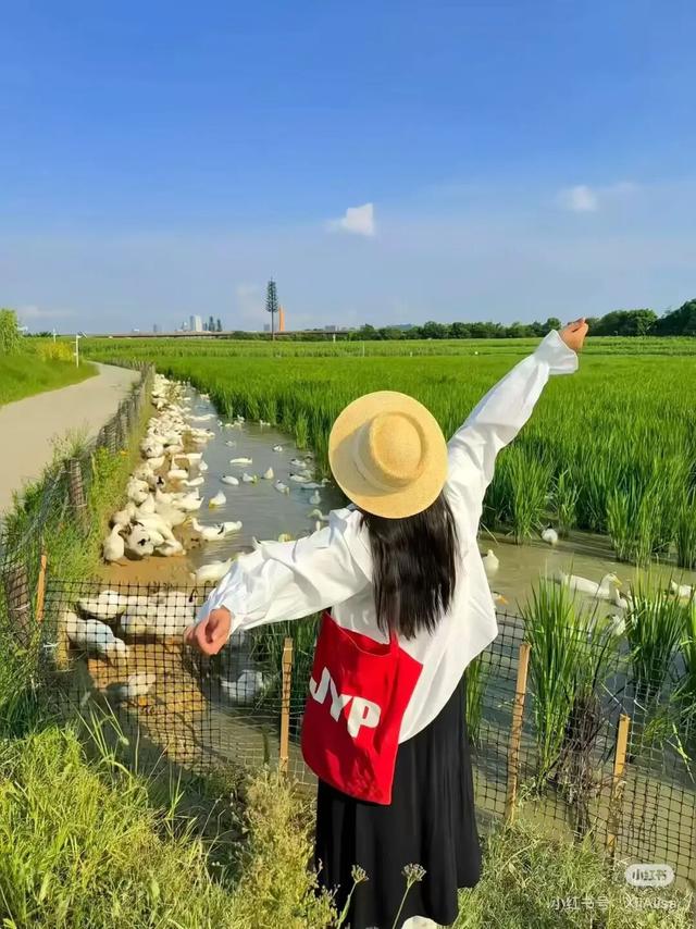 地铁直达！美爆！成都8个秋日限定美景上新！实拍免费，抓紧时间冲！