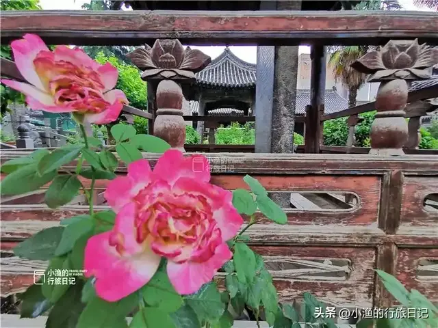 西安巷子里的神秘古寺，不是景点、没有门票！却大有来头