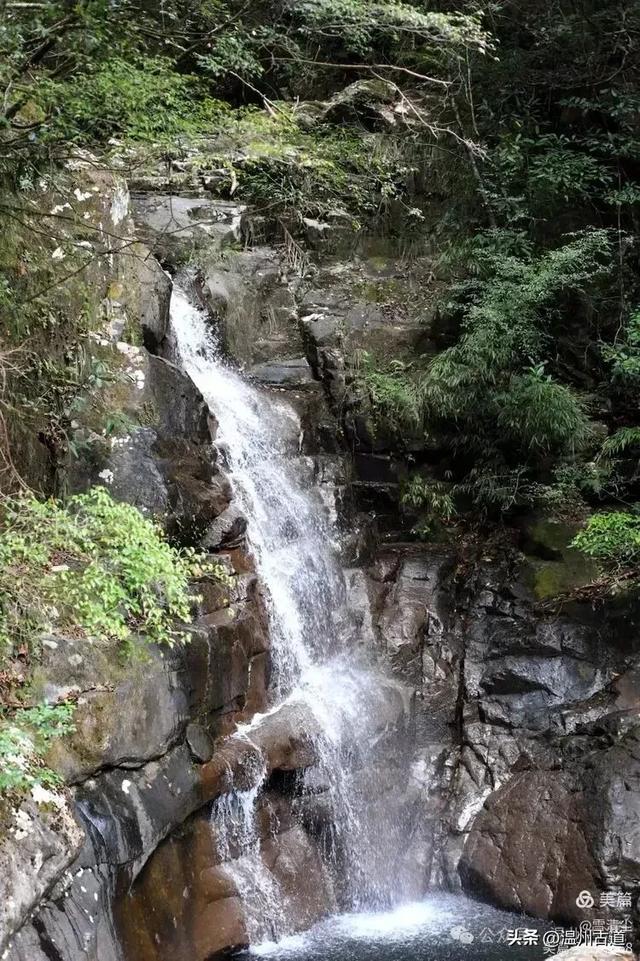 远上乌岩岭上斜,白云生处白云尖!温州这处秋日美景值得一去!