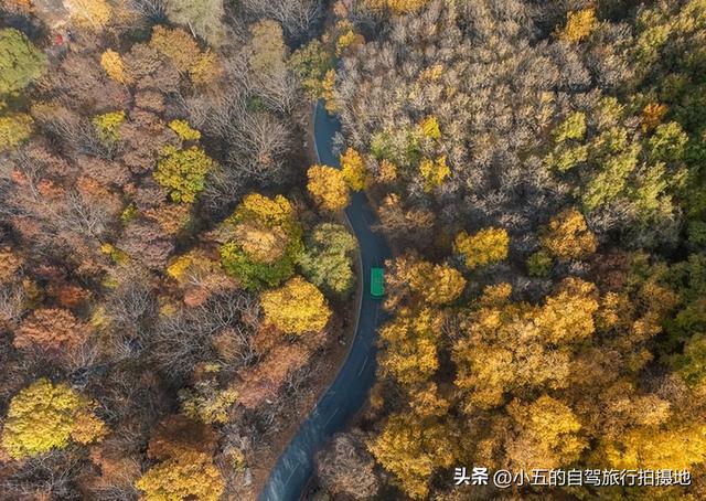 2025塔川红叶季指南：从臭鳜鱼到脱口秀，古村里的N种打开方式