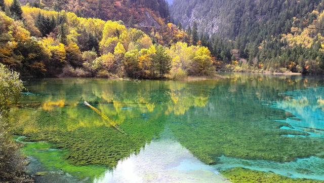 四川低调的赏秋胜地，秋色不输九寨沟，被称为"中国红叶第一山"
