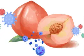 水果就烂了一点，去除坏的部分还能吃吗？图片