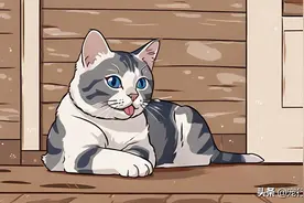 猫有这些行为，其实早就认“主”了，你却还不知道图片