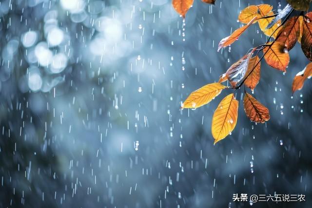 “不怕中元节的鬼，就怕中元节的水”，今日中元节，为啥怕下雨？