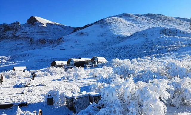 在雅安！！这么美的雪景我当然狠狠宣传啊啊啊！！