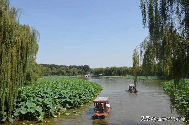 北京赏荷花最好的地方，原来是圆明园！