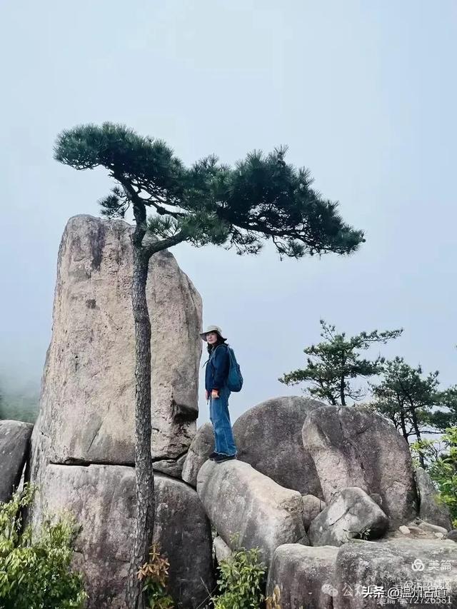 浙江隐藏一座“小黄山”，风光绝美还没门票，秋日徒步好去处！