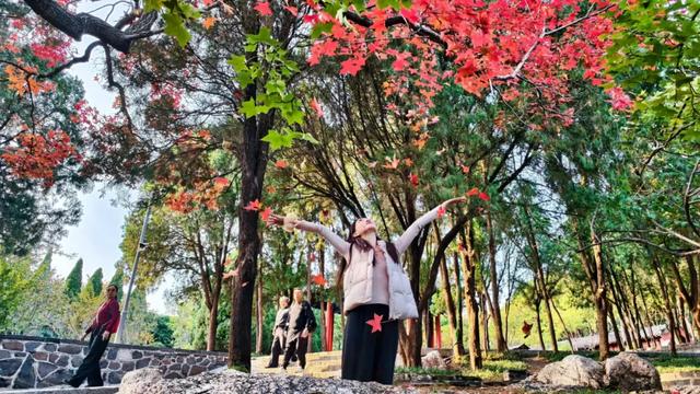 此时的你,被美到了!