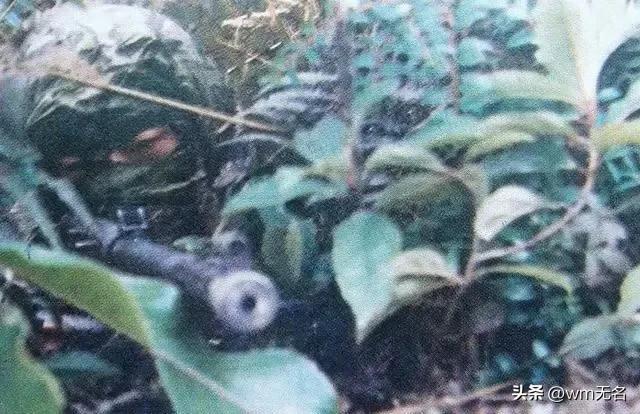 老山轮战中的空降特遣队!第七侦察队利刃出鞘,渗透敌后出奇制胜