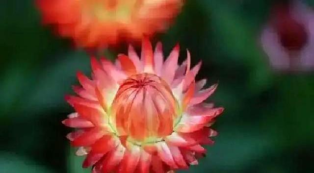 北京下了死命令，2027年底前，所有中小学必须告别校外配餐