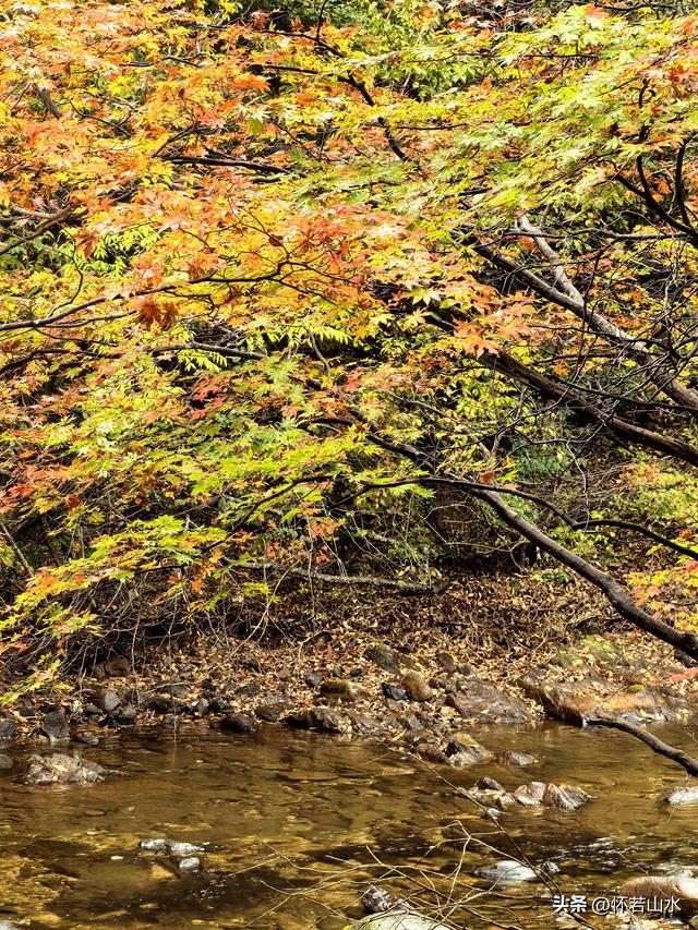 2025辽宁赏秋之旅日记(2)——游览丹东蒲石河森林公园