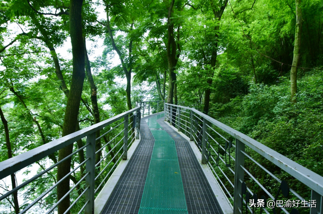 张飞古道封了？北碚人偷偷笑：这条平替路线藏着千年古刹和北海
