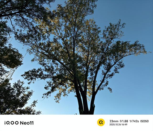 中端定价旗舰体验 双芯合璧性能越级 iQOO Neo11评测