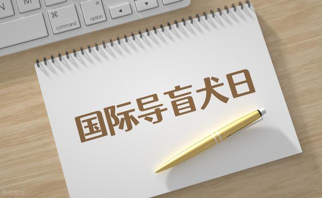 媒体评视障人士带导盲犬爬泰山