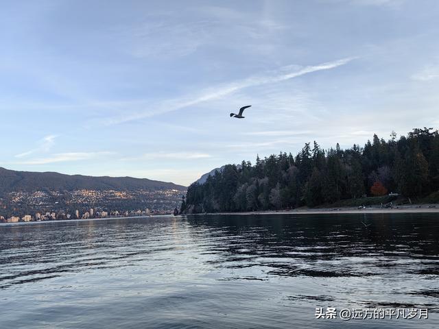 温哥华游记（四）